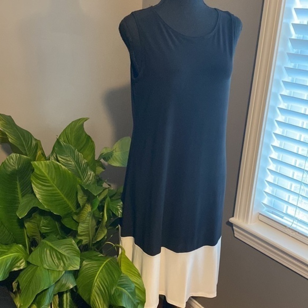 🤍🖤”ANNALEE + HOPE” Color Block Dress - Picture 3 of 5